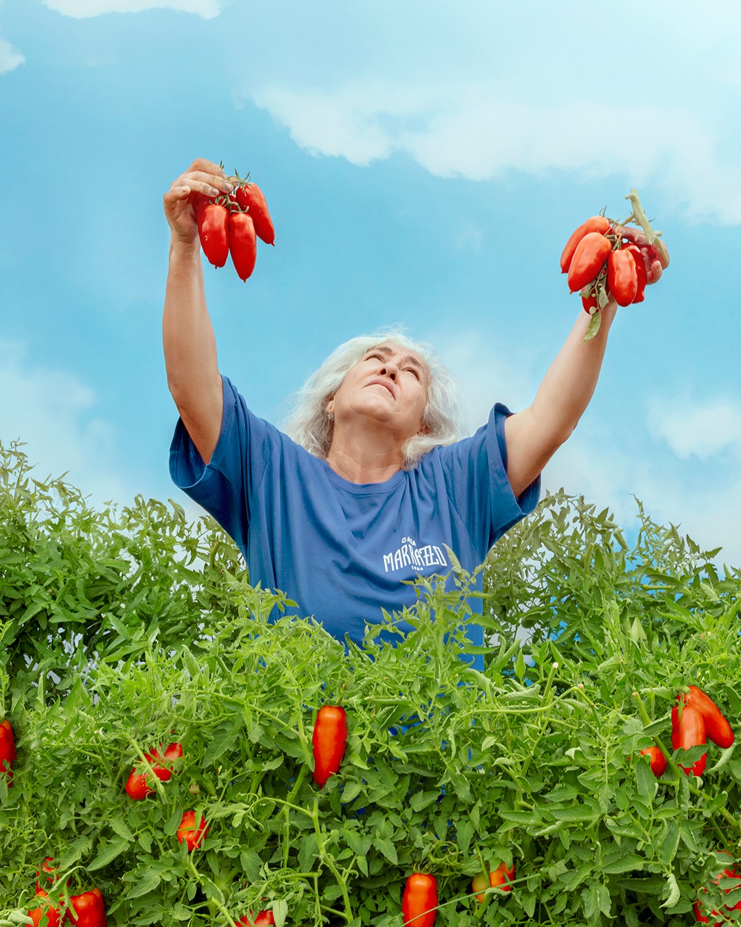 Selezione pomodori san marzano casa marrazzo per marmellata di pomodoro